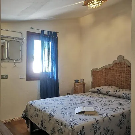 Coloratissima *